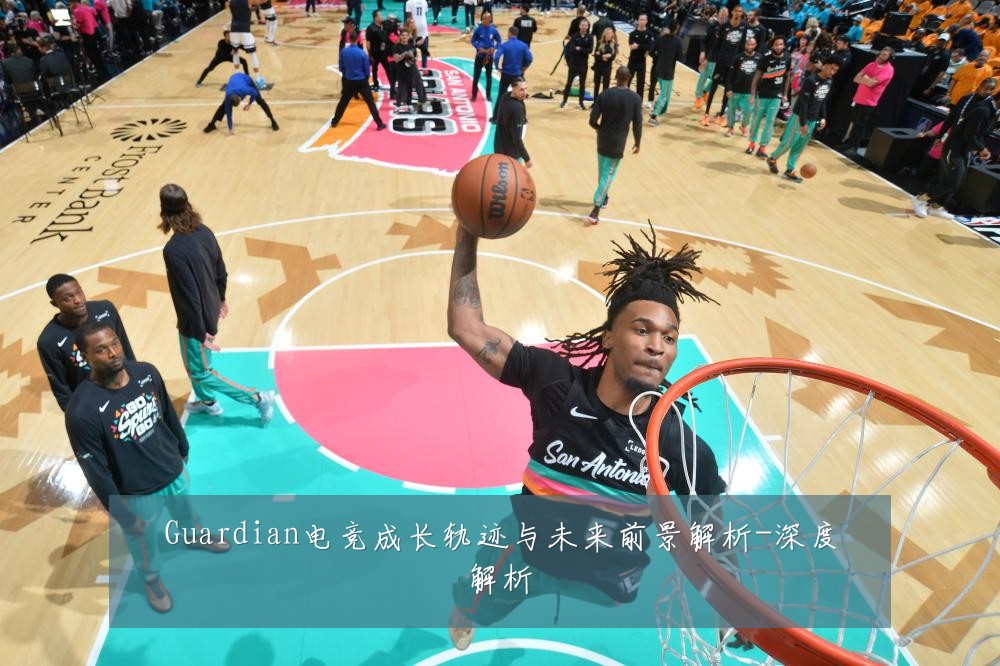 Guardian电竞成长轨迹与未来前景解析-深度解析